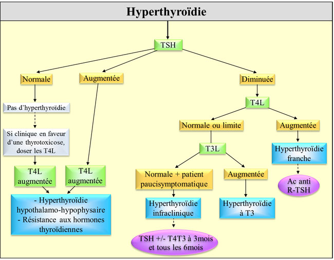 Diagnostic biologique d'une hyperthyroïdie