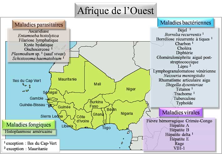 Pathologies d'Afrique de l'ouest