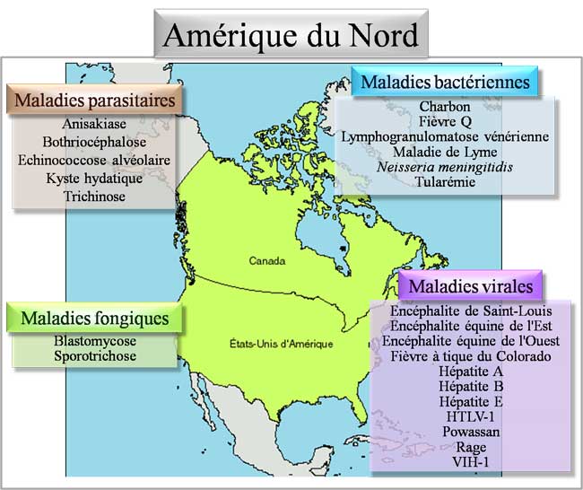 Pathologies d'Amérique du nord