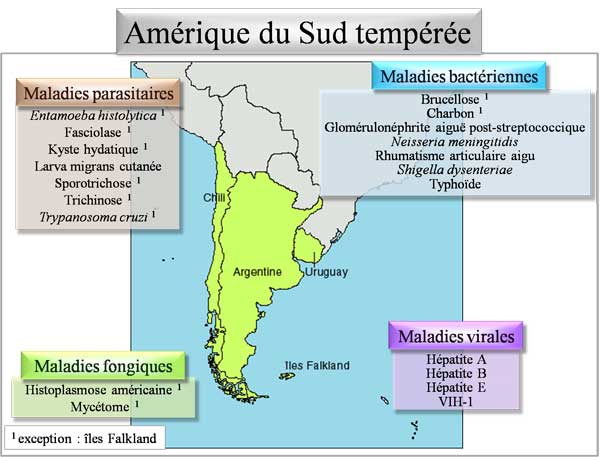 Pathologies d'Amérique du sud tempérée