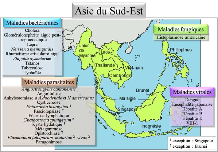 Pathologies d'Asie de sud-est