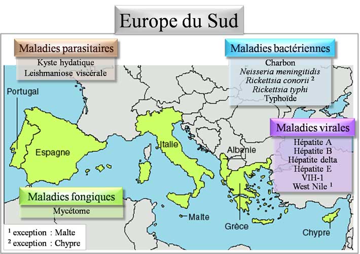 Pathologies d'Europe du sud