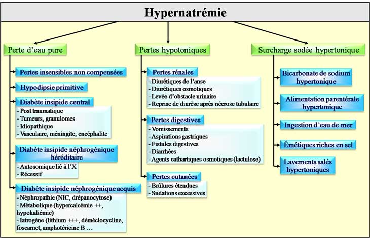 Etiologie d'une hypernatrémie