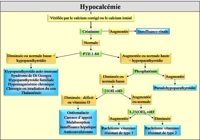 Etiologies des hypocalcémies