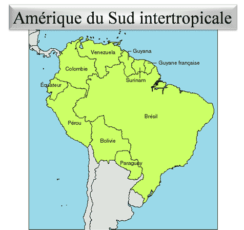Amérique du sud intertropicale